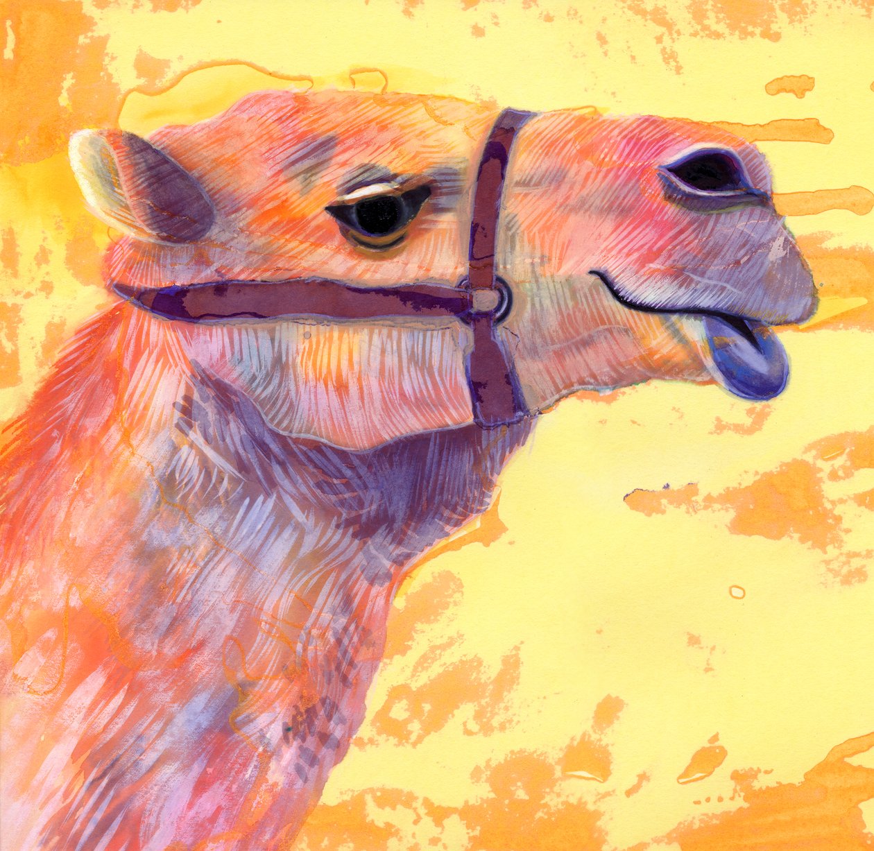 Camel, 1994, (tinta és gouache) alkotó: Jane Tattersfield