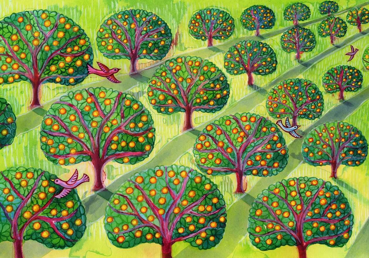 Gyümölcsöskert alkotó: Jane Tattersfield