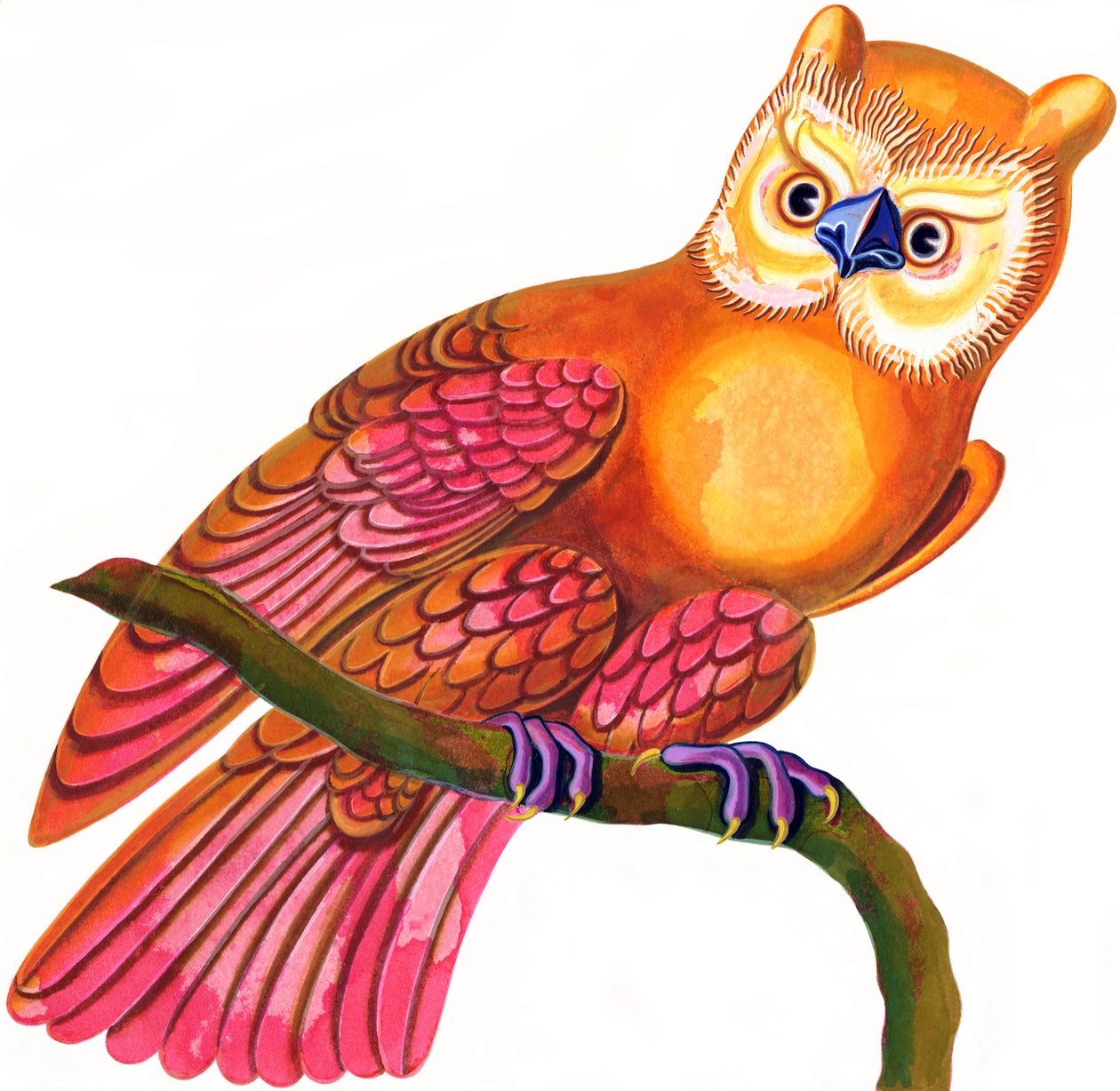Bagoly, 1997, (tinta és gouache) alkotó: Jane Tattersfield