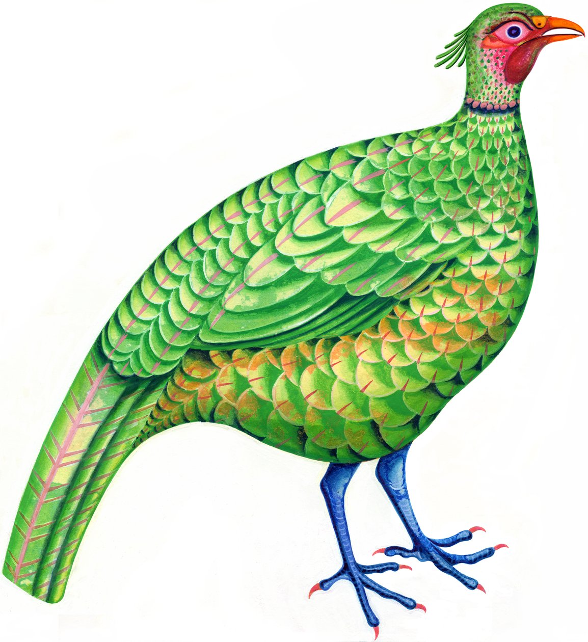Fácán, 1996 (tinta és gouache) alkotó: Jane Tattersfield