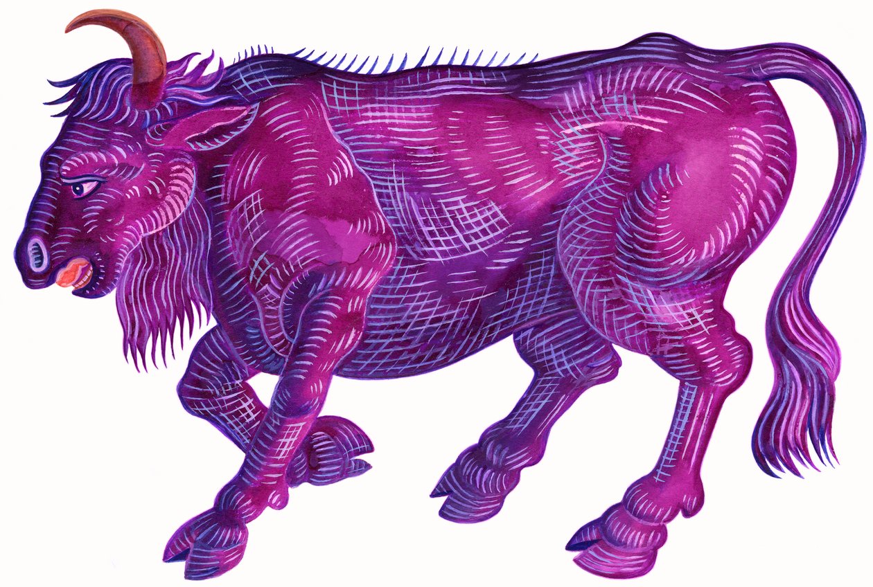Raging Bull Taurus, 1996, (tinta és gouache) alkotó: Jane Tattersfield