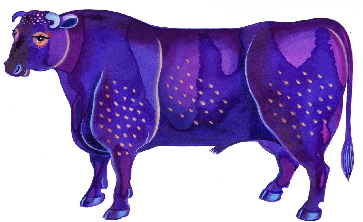 Bika, a bika, 1996, (tinta és gouache) alkotó: Jane Tattersfield