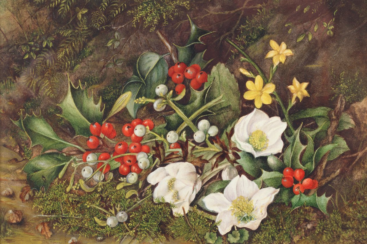 Holly and Christmas Roses (wc papíron) alkotó: Jane Taylor