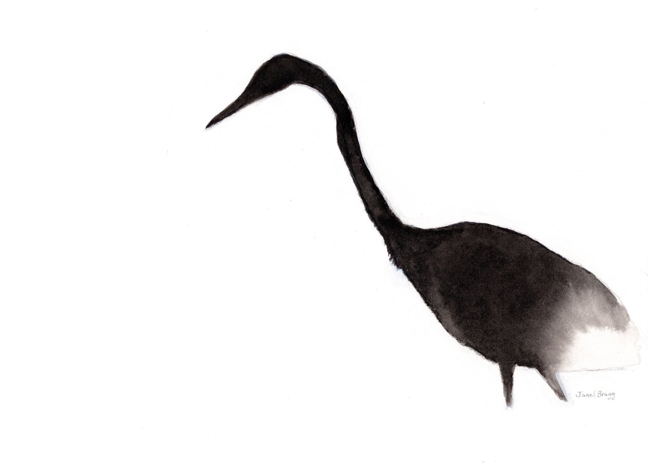  alkotó: Janel Bragg