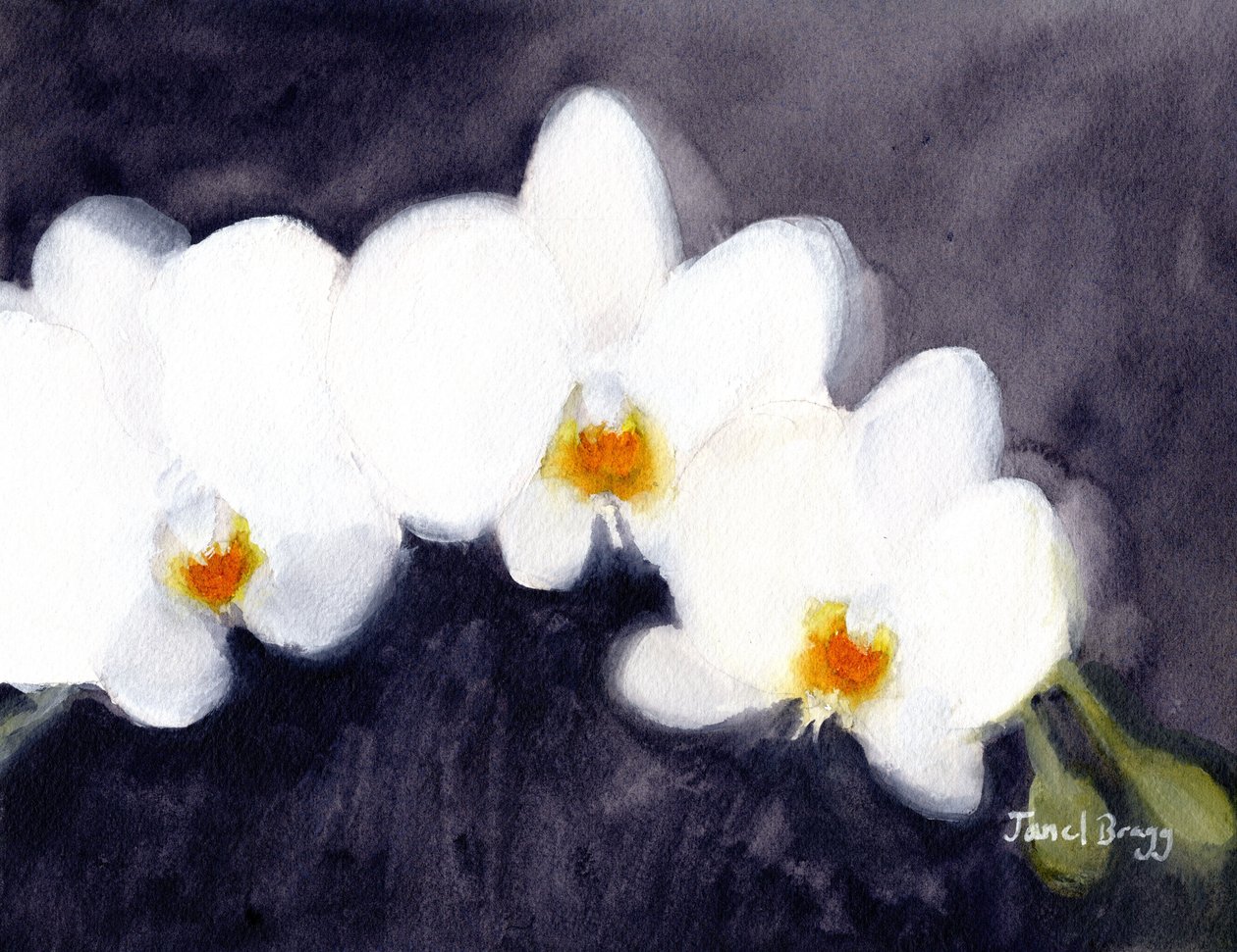 Orchidea White Phalaenopsis, 2021 körül (akvarell és kazein, papír) alkotó: Janel Bragg