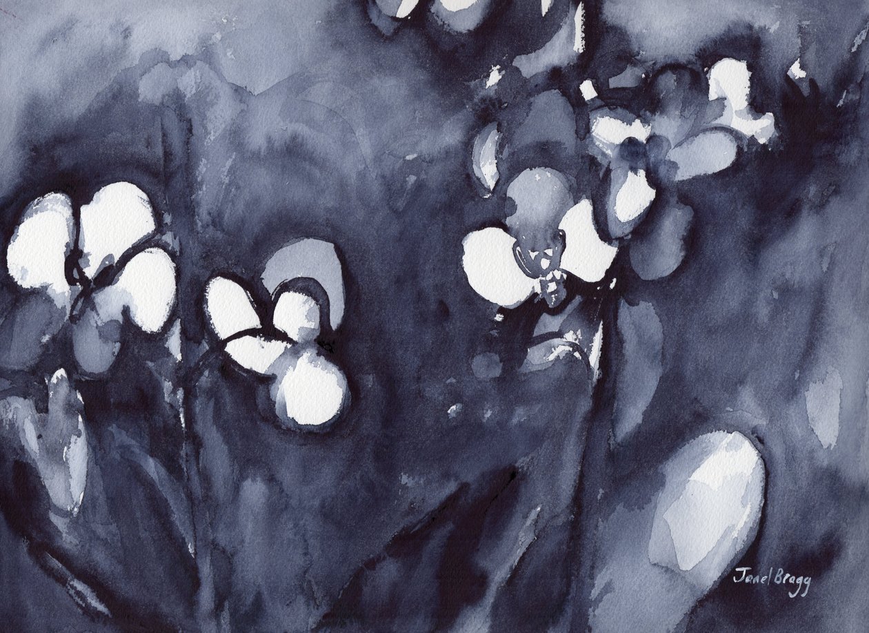 Orchidea indigóban, 2017 körül (akvarell, papír) alkotó: Janel Bragg