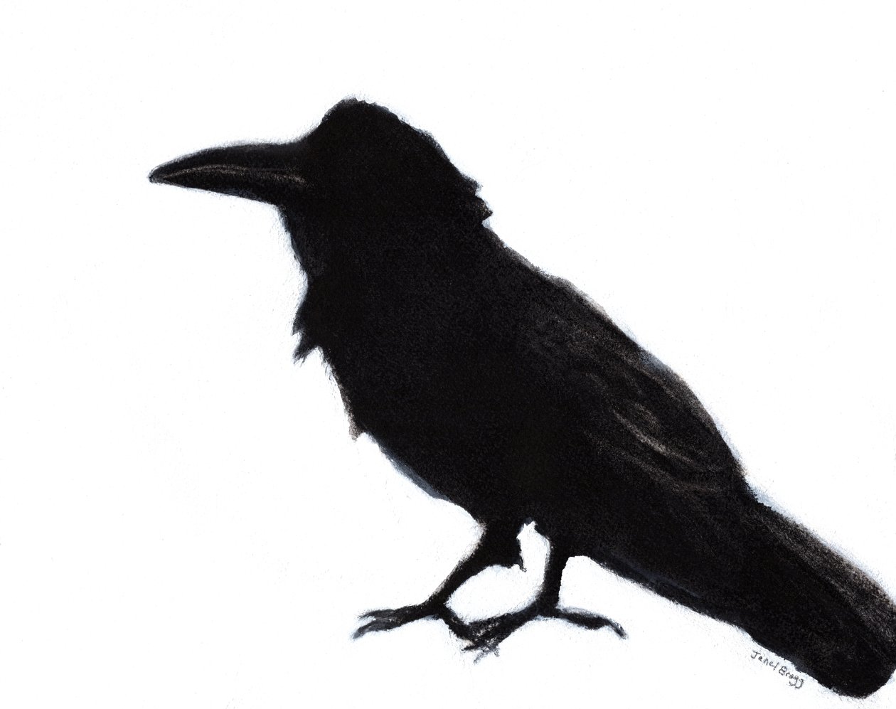 Raven at Baker Beach, 2023 körül (vegyes technika, papír) alkotó: Janel Bragg