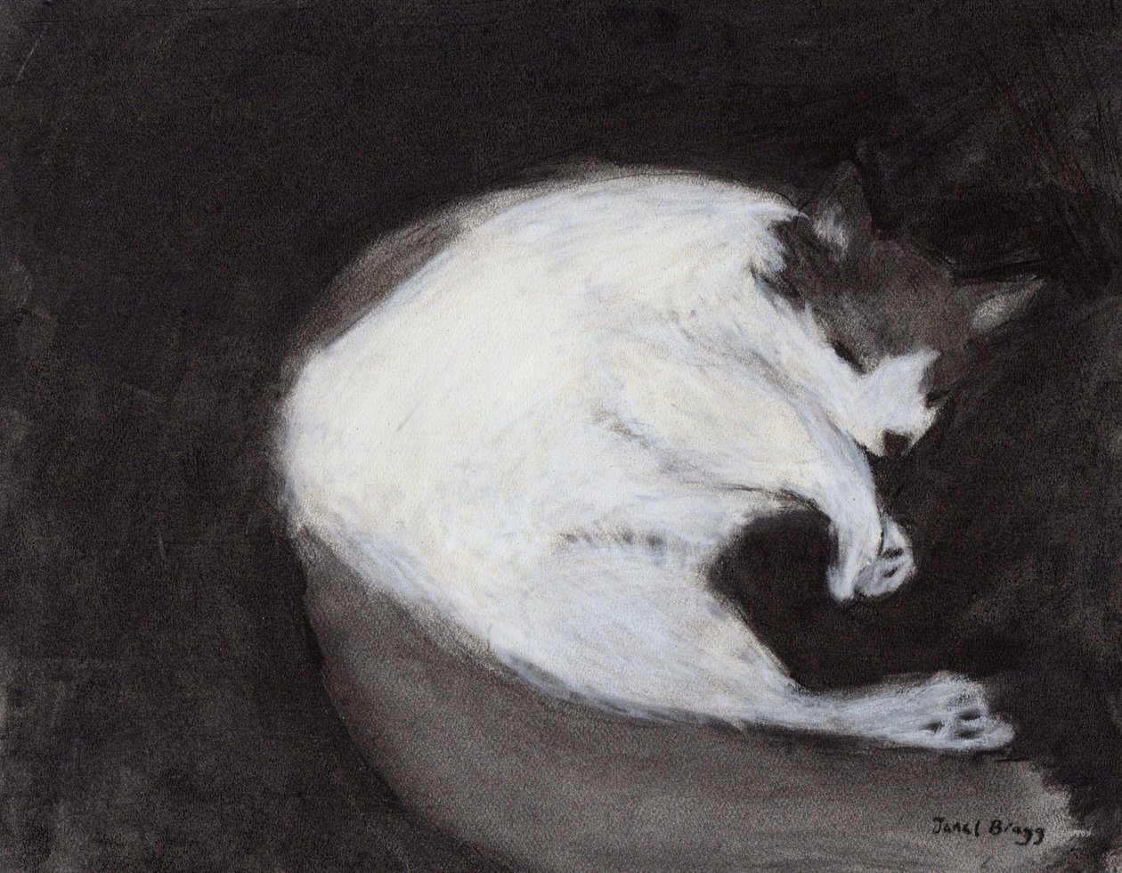 Thomas Taking a Nap, 2018 körül (szén és pasztell, papír) alkotó: Janel Bragg