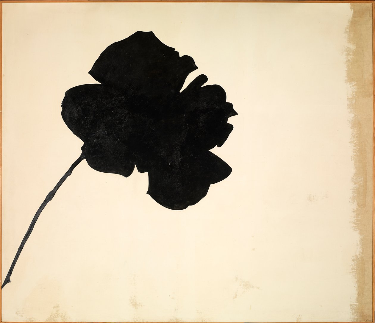Cím nélkül - Fekete rózsa (Senza titolo - Rosa nera), Jannis Kounellis alkotó: Jannis Kounellis