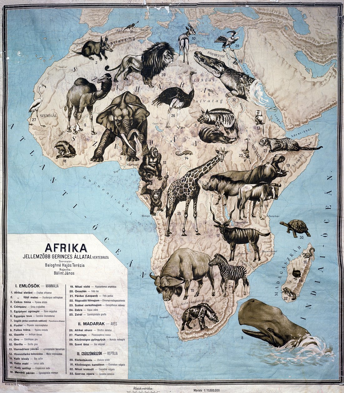 Állattérkép Afrikában (színes gravírozás) Sf alkotó: Janos Balint