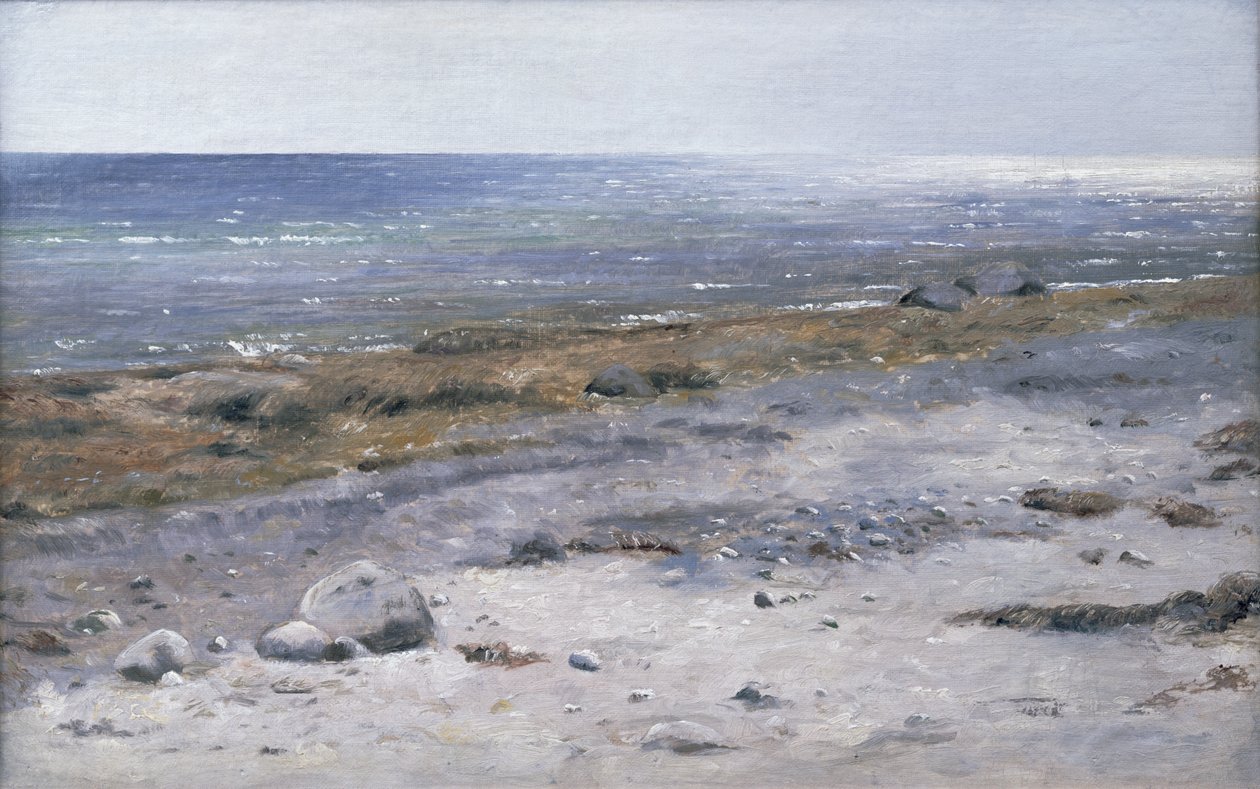 A strand, Mols alkotó: Janus La Cour