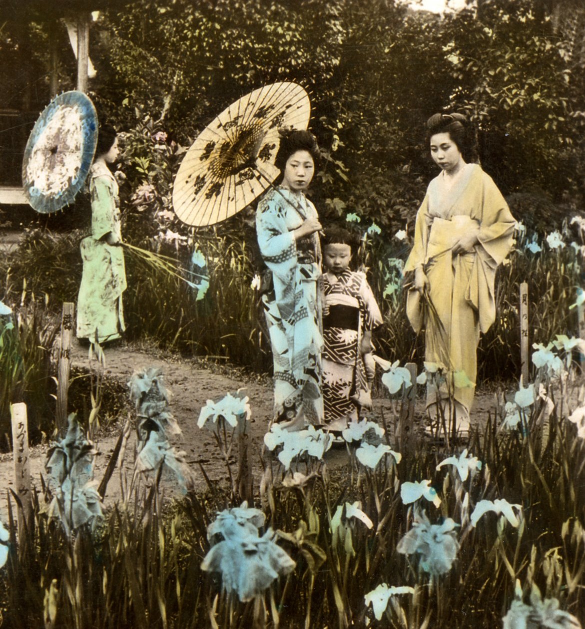 Séta az írisz kertben, 1900 körül (album fotó) alkotó: Japanese Photographer