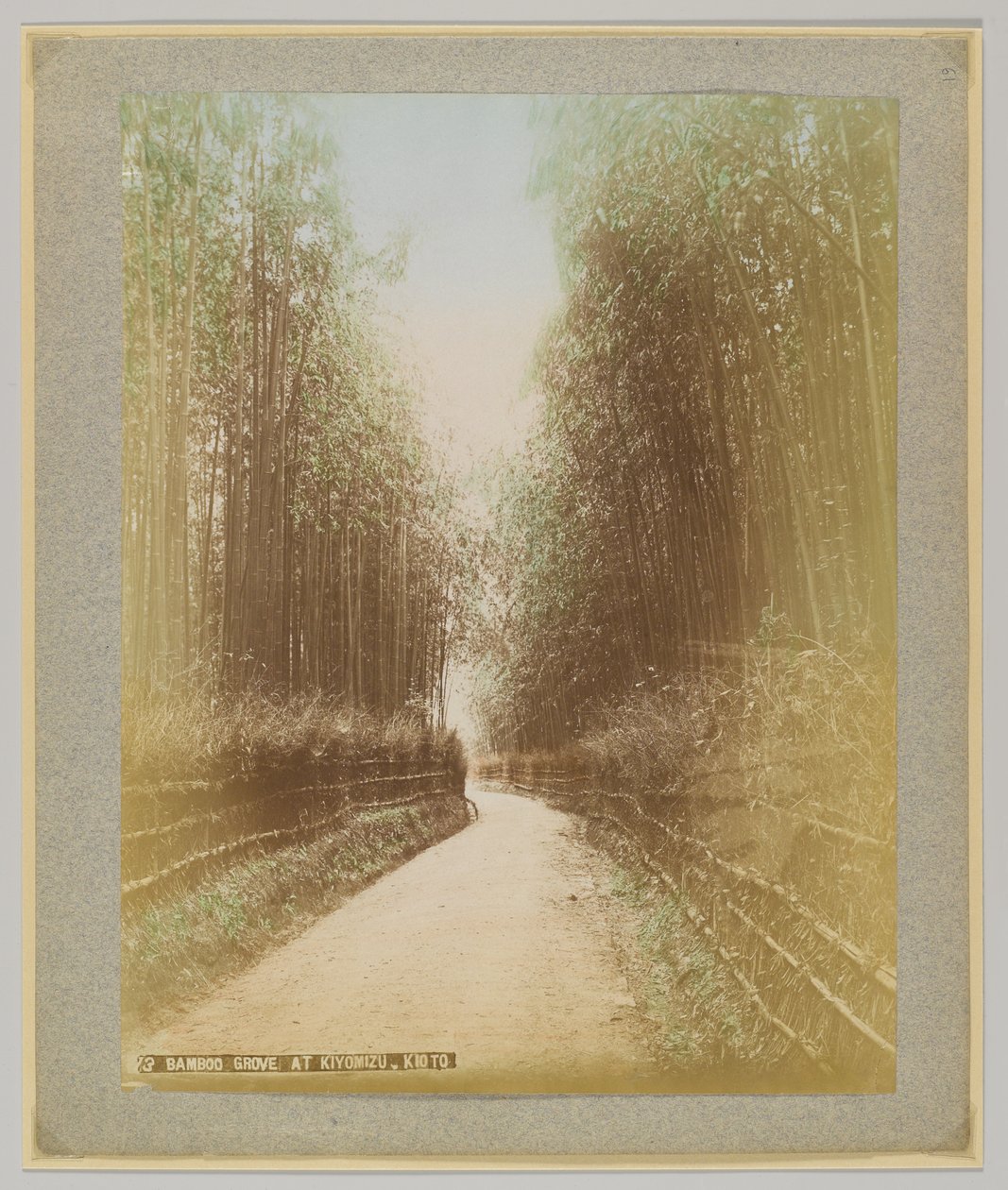 Bamboo Grove, Kiyomizu, Kyoto, Japán (kézzel színezett fekete-fehér fotó) alkotó: Japanese Photographer