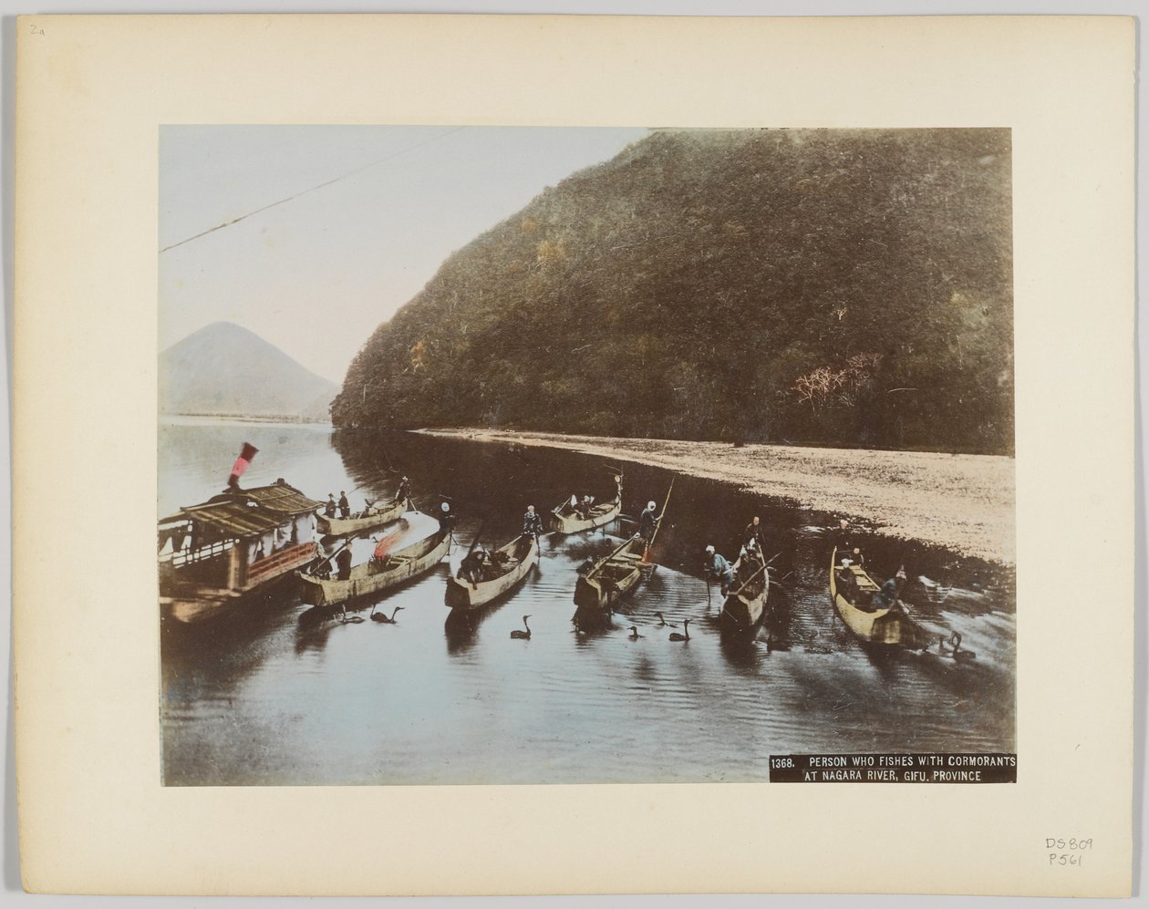 Kormoránhalászat a Nagara folyón, Gifu prefektúra, Japán (kézzel színezett fekete-fehér fotó) alkotó: Japanese Photographer