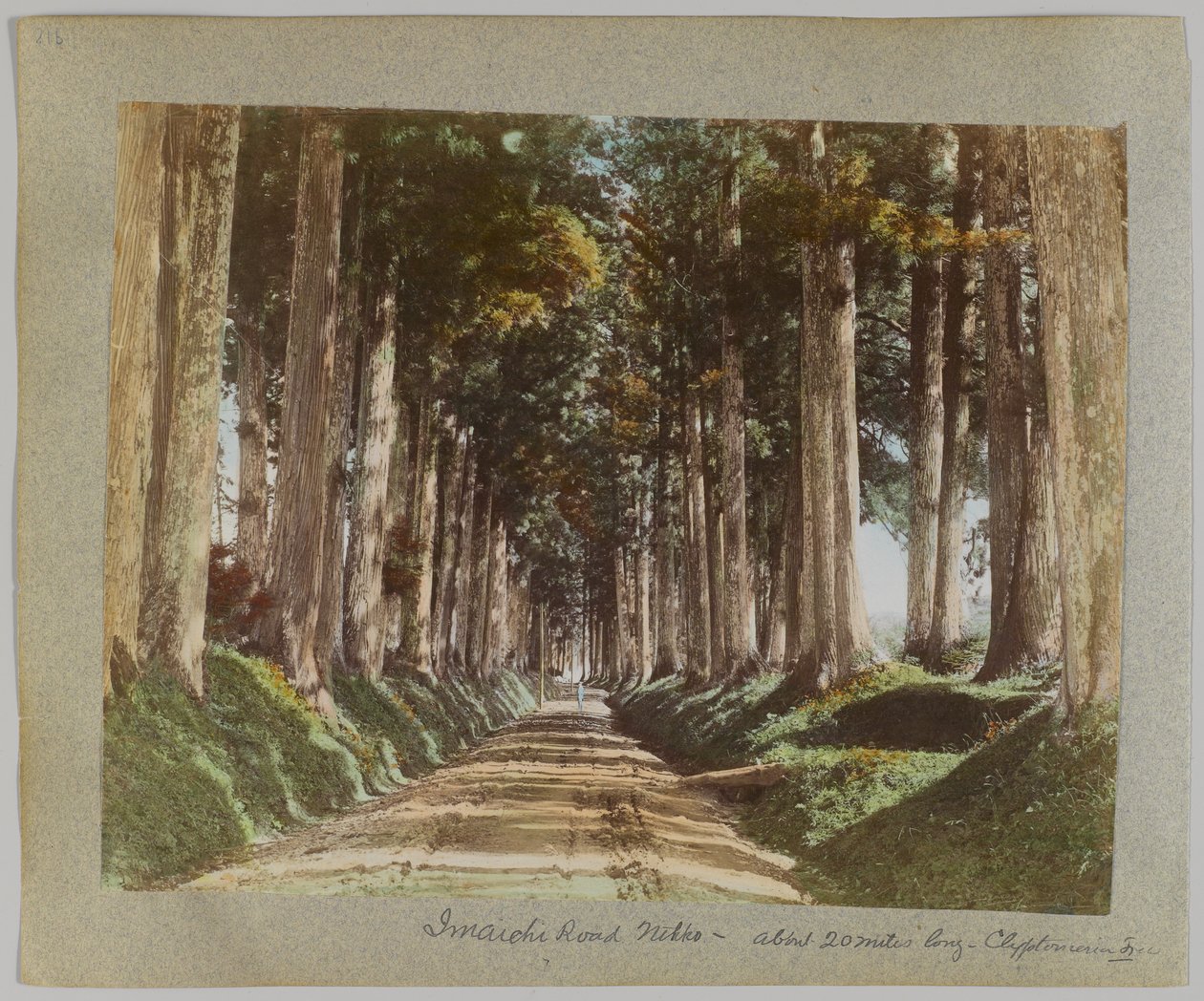 Imaichi Road, Nikko, Japán (kézzel színezett fekete-fehér fotó) alkotó: Japanese Photographer