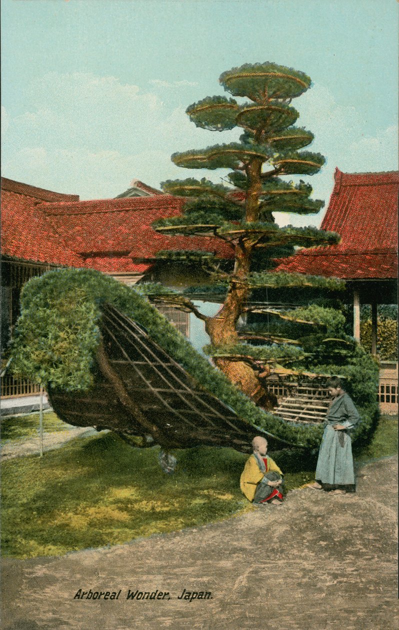 Csónak alakú díszfa Japánban (színes fotó) alkotó: Japanese Photographer