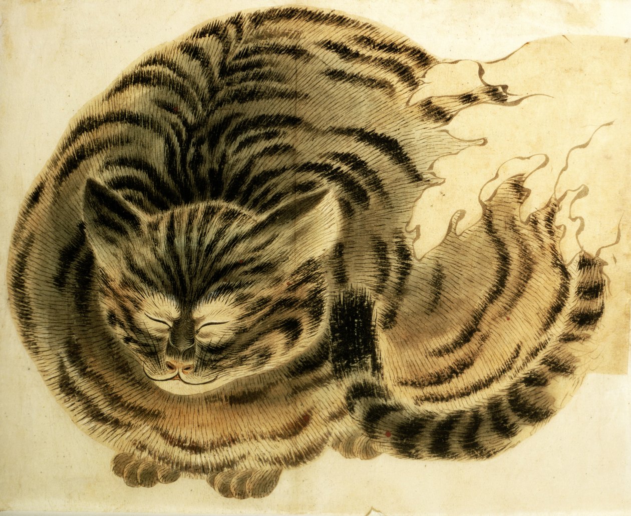 Alvó macska, 1850 körüli kiadás (akvarell, papír) alkotó: Japanese Photographer