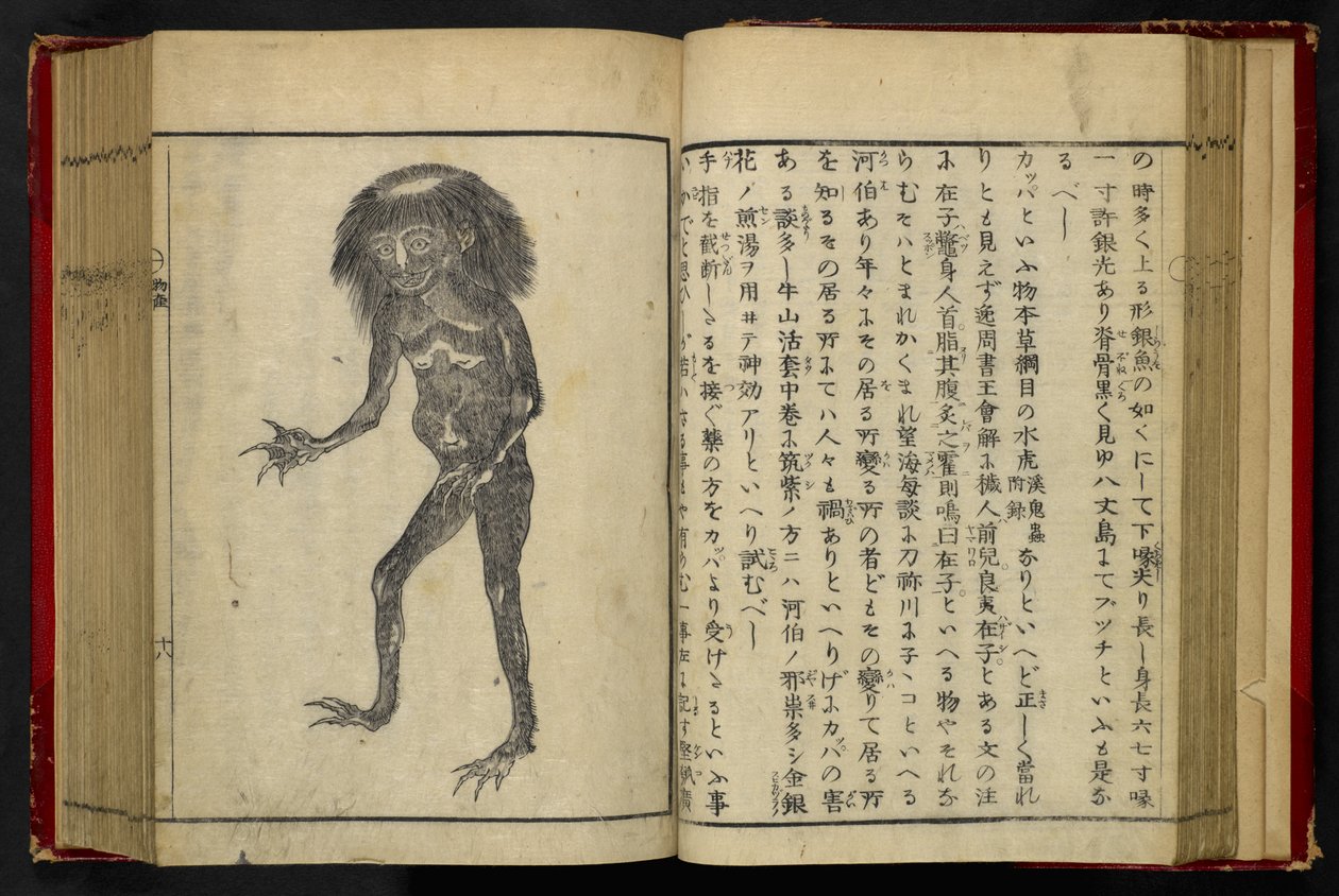 16084.d.15, f.24 A Neneko Kappa, Akamatsu Sōtan „Tonegawa Zushi” című művéből, publikáció 1855 (fametszet) alkotó: Japanese School