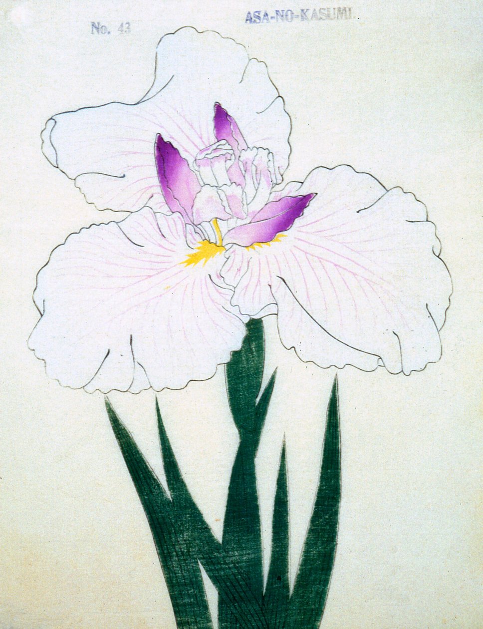 Sekély. -Kasumi Arimura. 43, 1898 alkotó: Japanese School