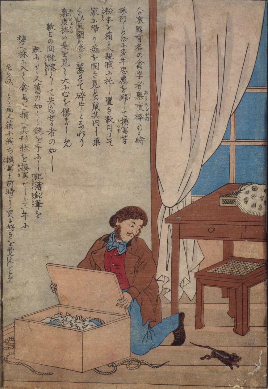Audubon kinyitja Norvég patkányok által elpusztított akvarelldobozát, 1872-77 körül alkotó: Japanese School