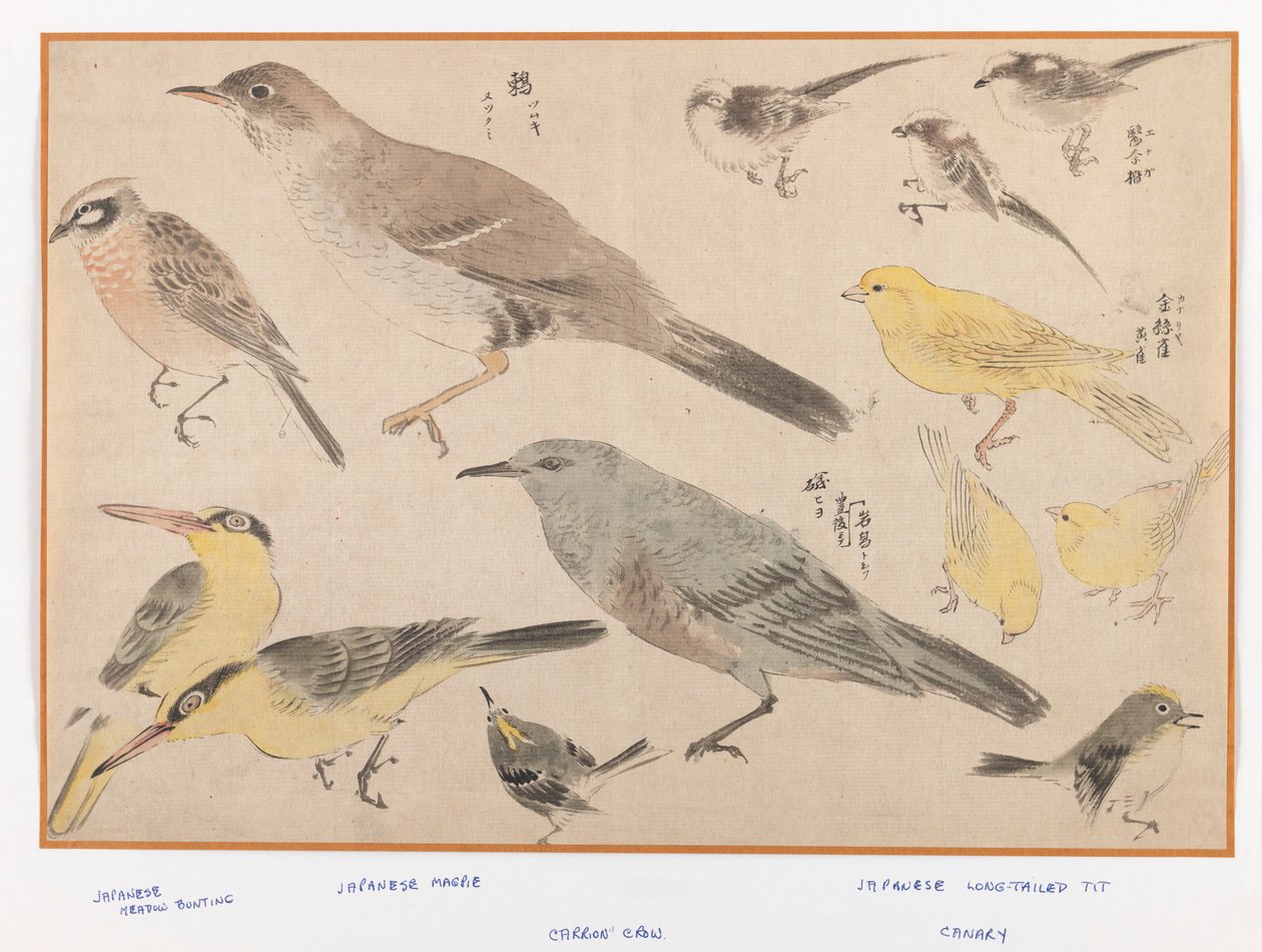 Birds in Okyo Style (fatömb színes nyomat) alkotó: Japanese School