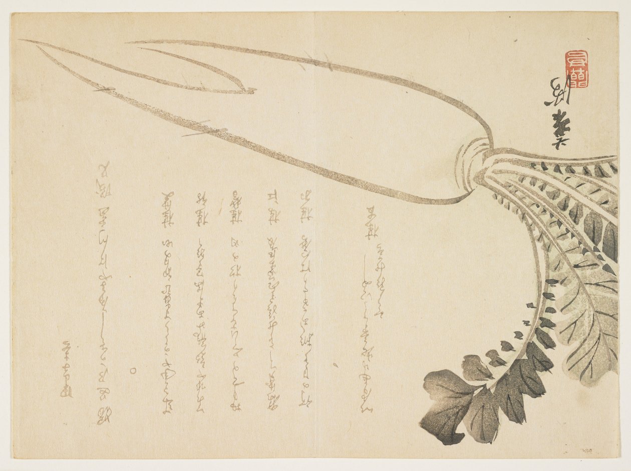 Daikon retek, 1864. január (színes fanyomat) alkotó: Japanese School