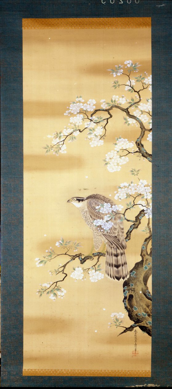 Sólyom a japán cseresznye ágán kivirágzott. Japán 18. századi selyemfestménye. Genova. Museo Chiossone. alkotó: Japanese School