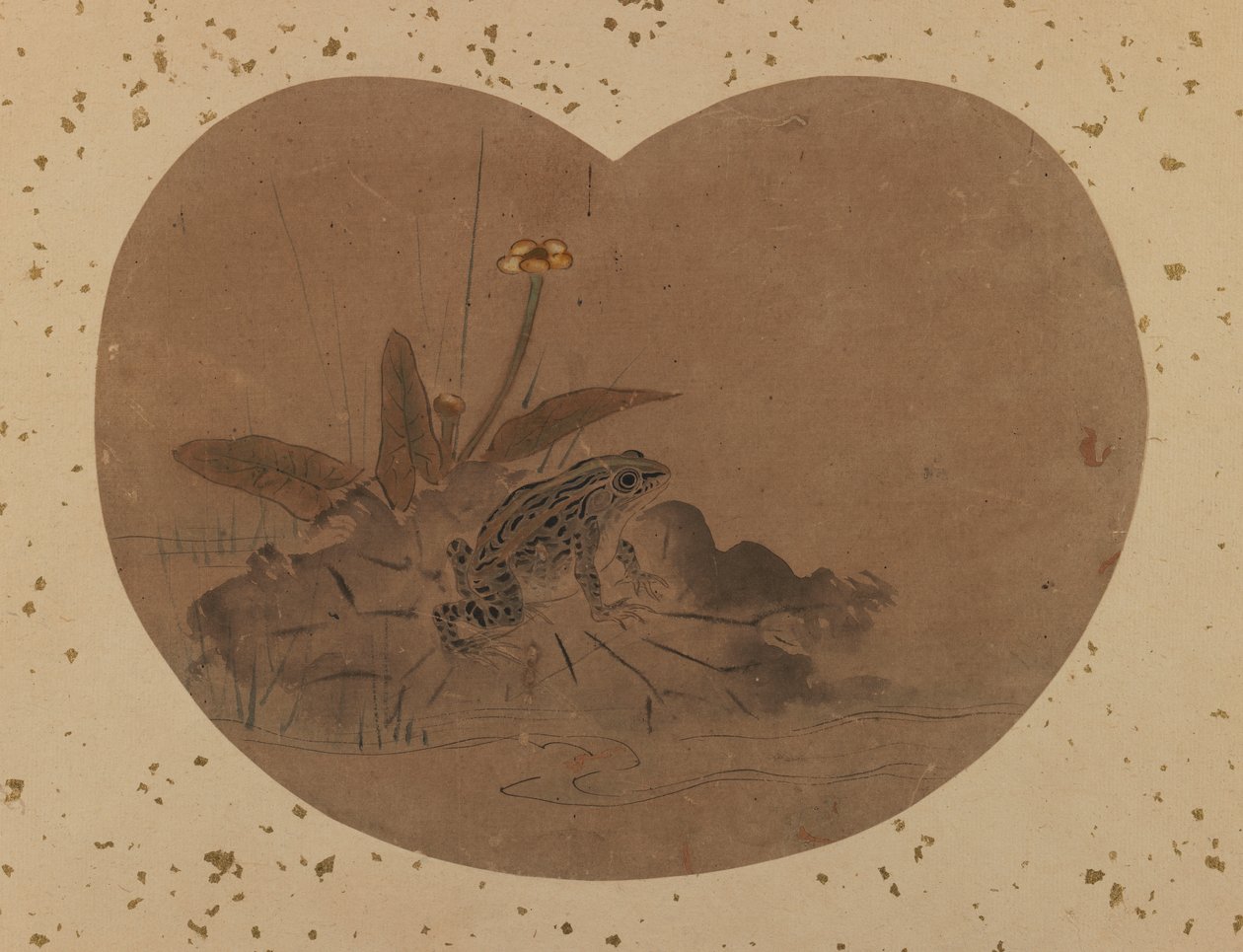 Legyezős béka festmény (verso) (tintával és színes papíron) alkotó: Japanese School