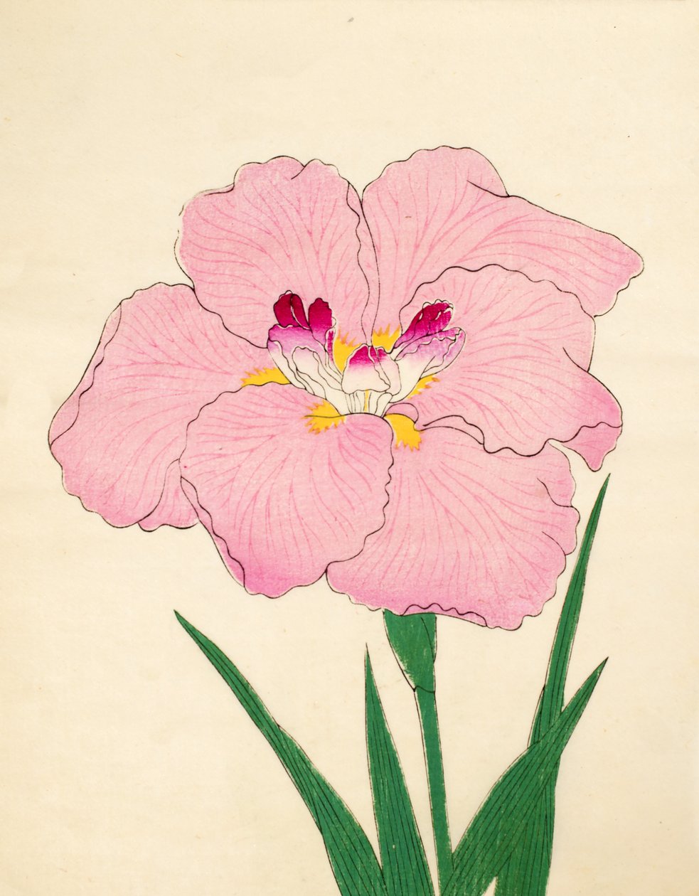 Gofukushoshu, No. 86, 1890 (színes fatömbnyomat) alkotó: Japanese School