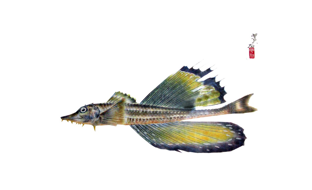 Fish Taku alkotó: Japanese School