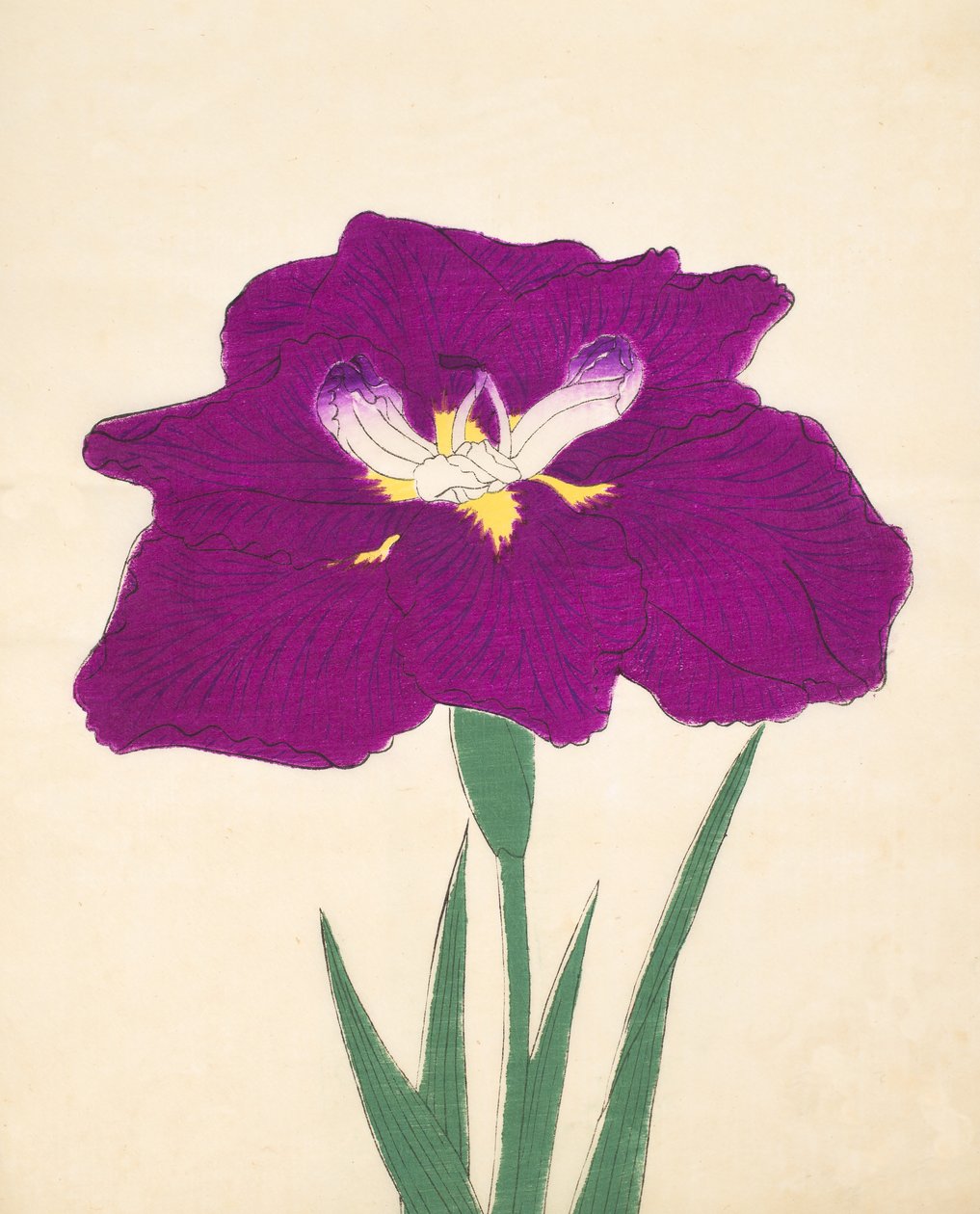 Hizumé. -Hyo. 1898. 29 alkotó: Japanese School