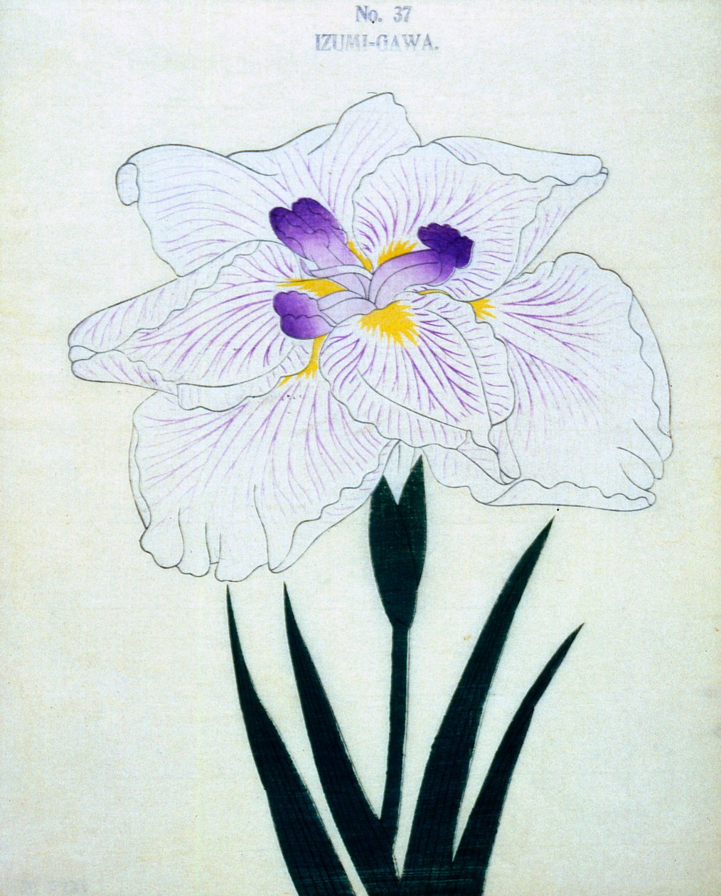 Izumi oldalán. 37, 1898 alkotó: Japanese School