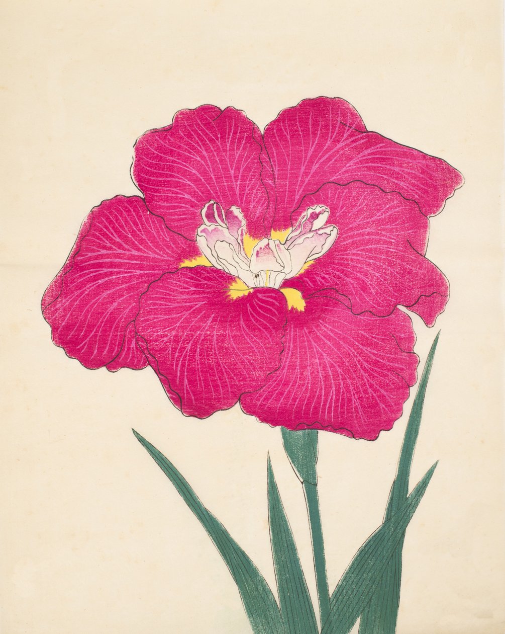 Kaga Lee napja, a. 1890. 38 alkotó: Japanese School
