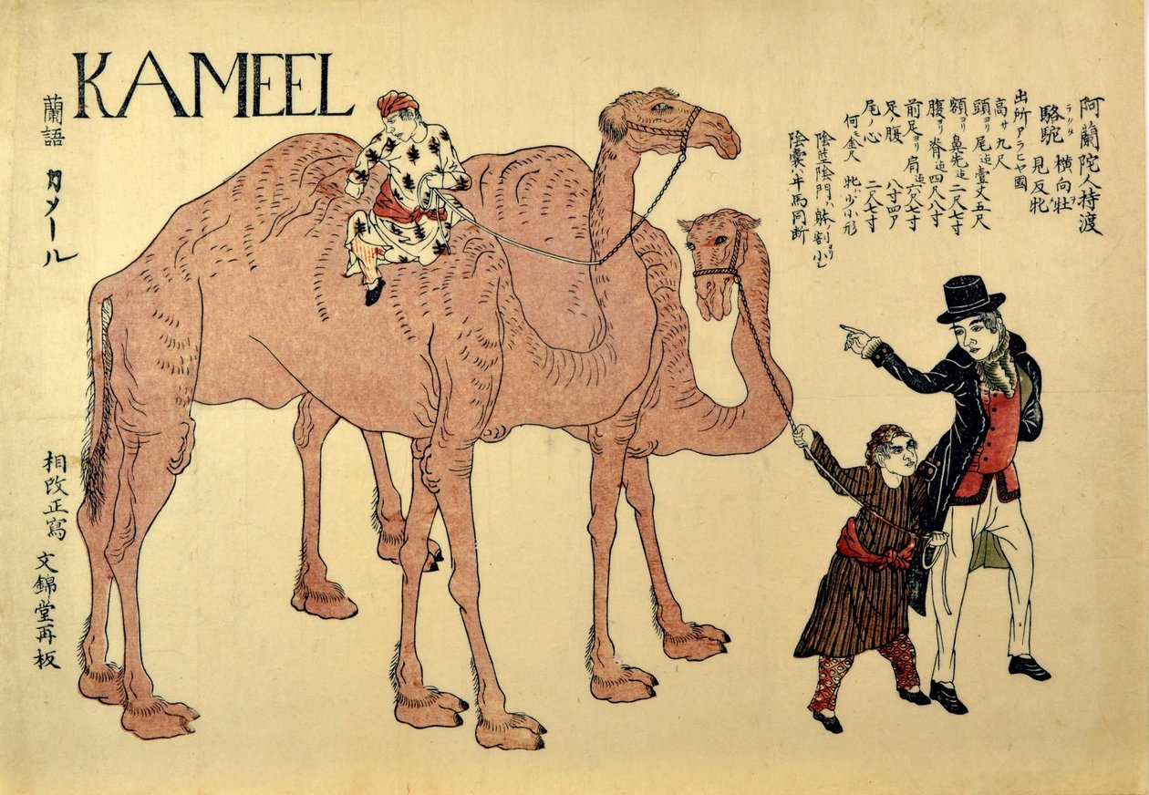 Kameel, kocsma. 1821 (színes fametszet) alkotó: Japanese School