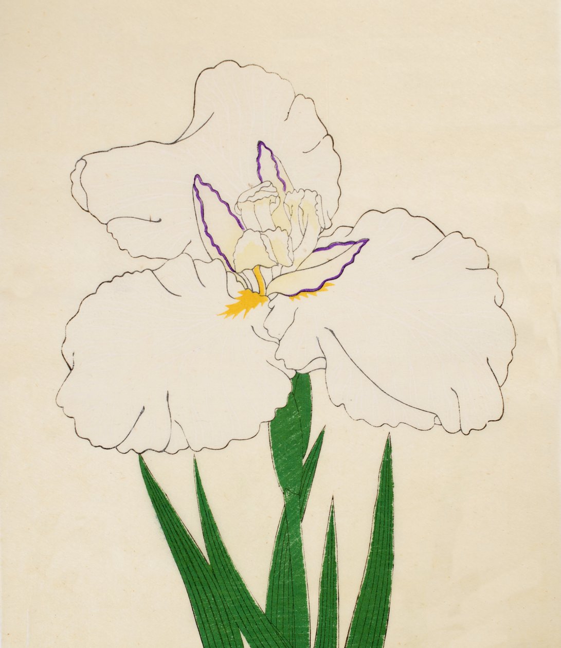 Haj ablak - sz. 65, 1890 (Ez a DBock p Hayashi t) alkotó: Japanese School