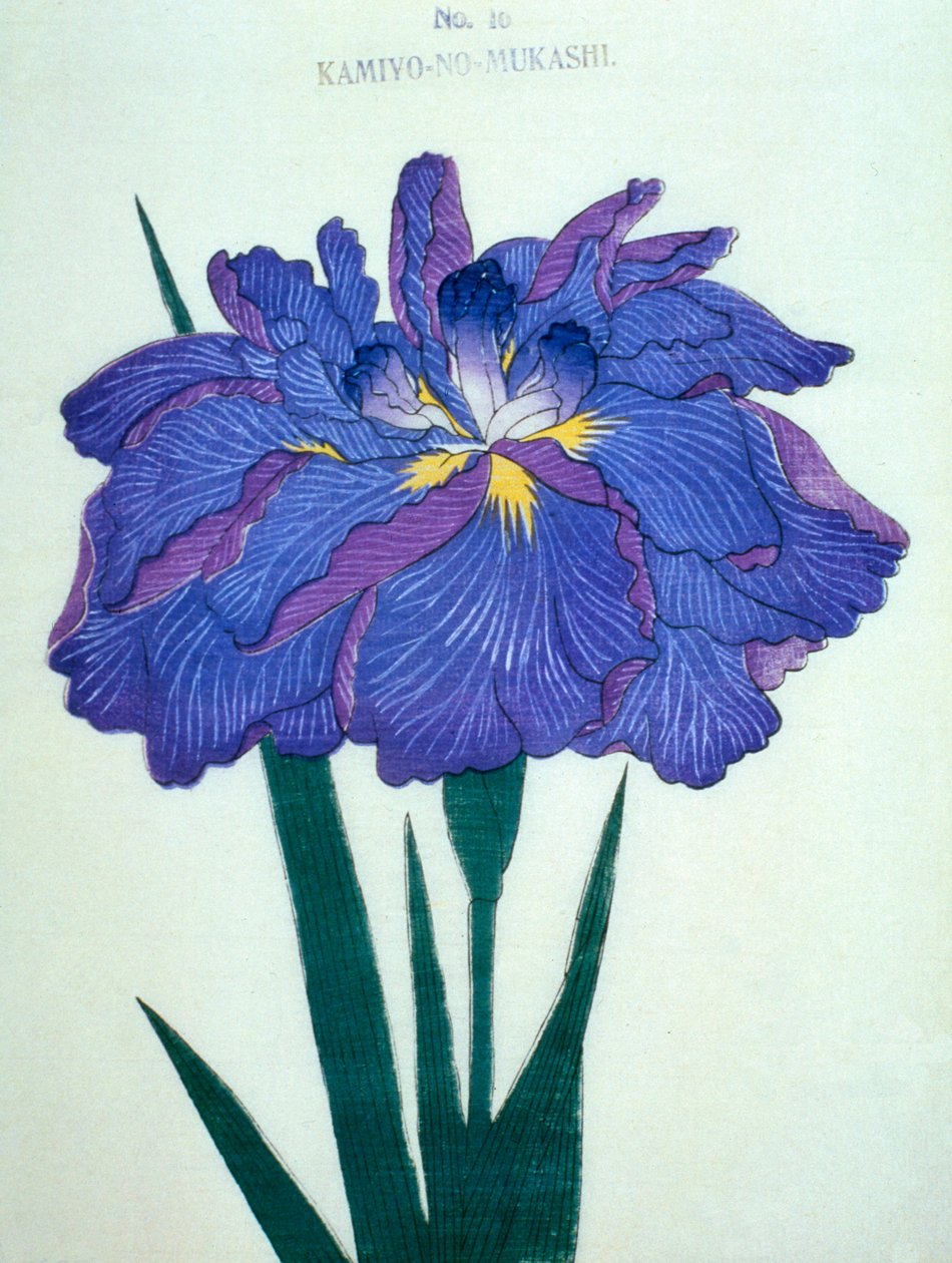 Találkozunk. -Régi idők. 1898. 16 alkotó: Japanese School