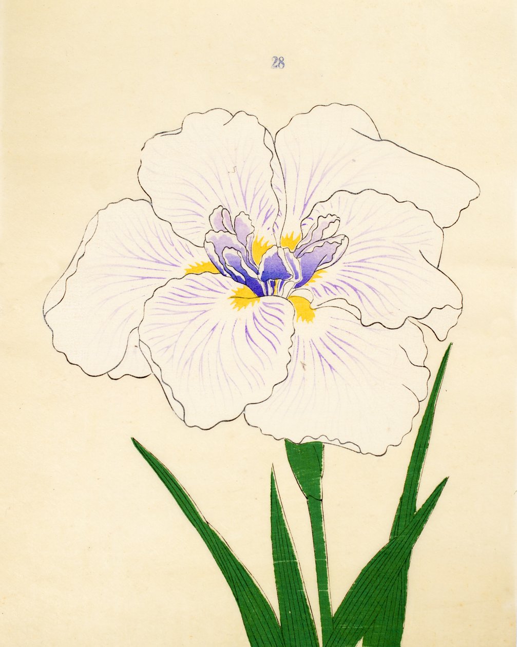 Manozuru, a. 1890. 28 alkotó: Japanese School