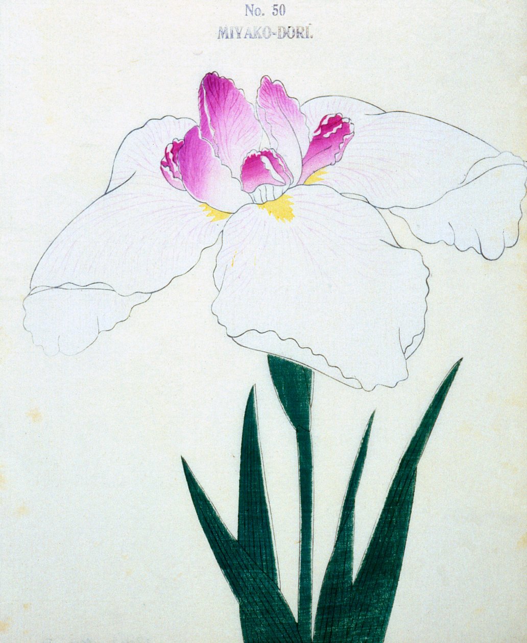 Mi a főváros? 50, 1898 alkotó: Japanese School