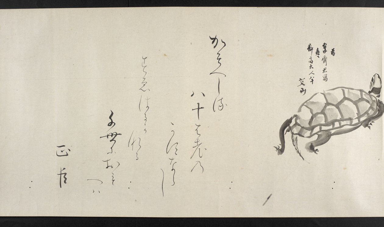 Vagy. 14872, f.29, Teknősbéka, Yoshida Seisaitól (tekercs) alkotó: Japanese School