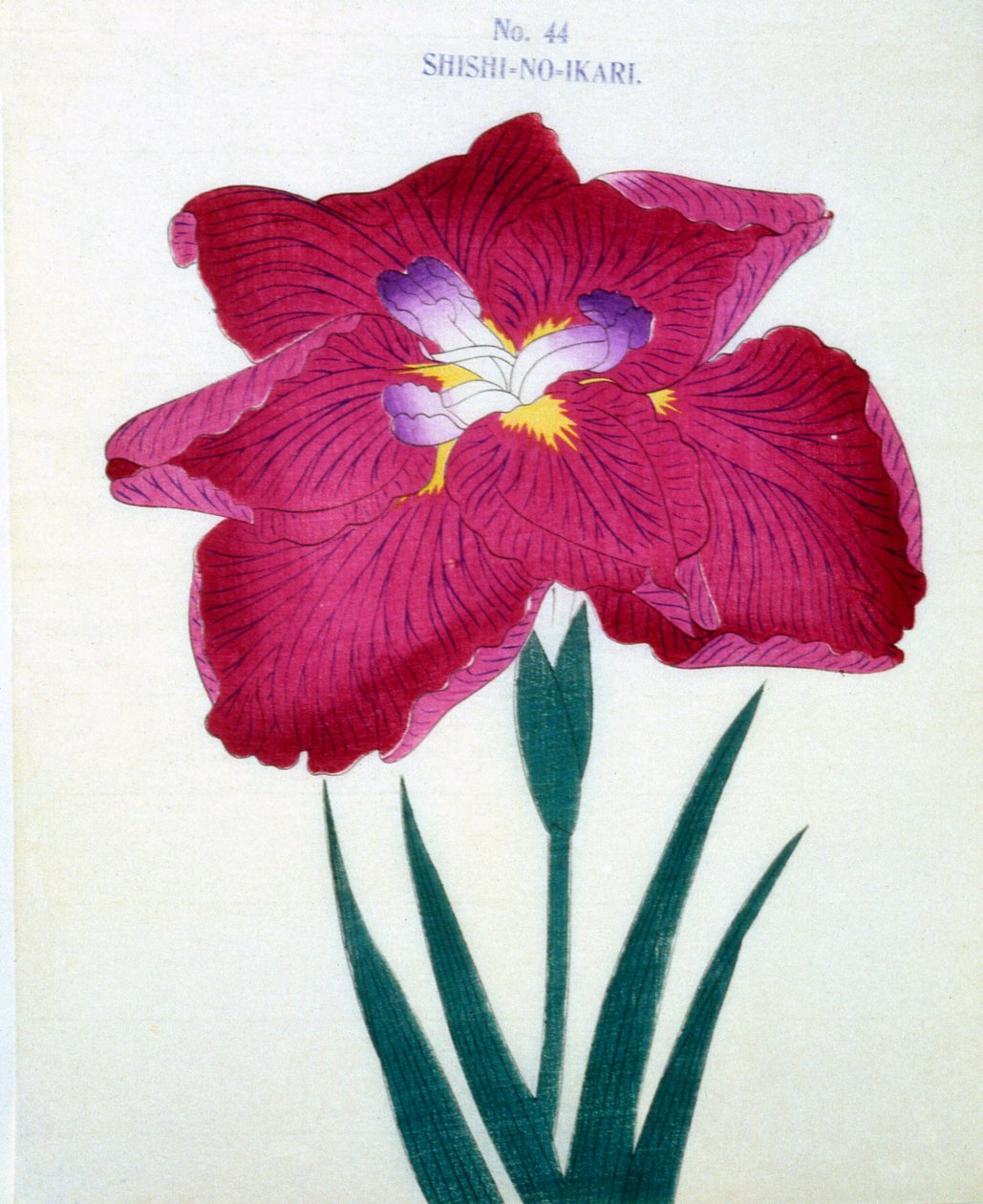 Shishi. -Mérges. 44, 1898 alkotó: Japanese School