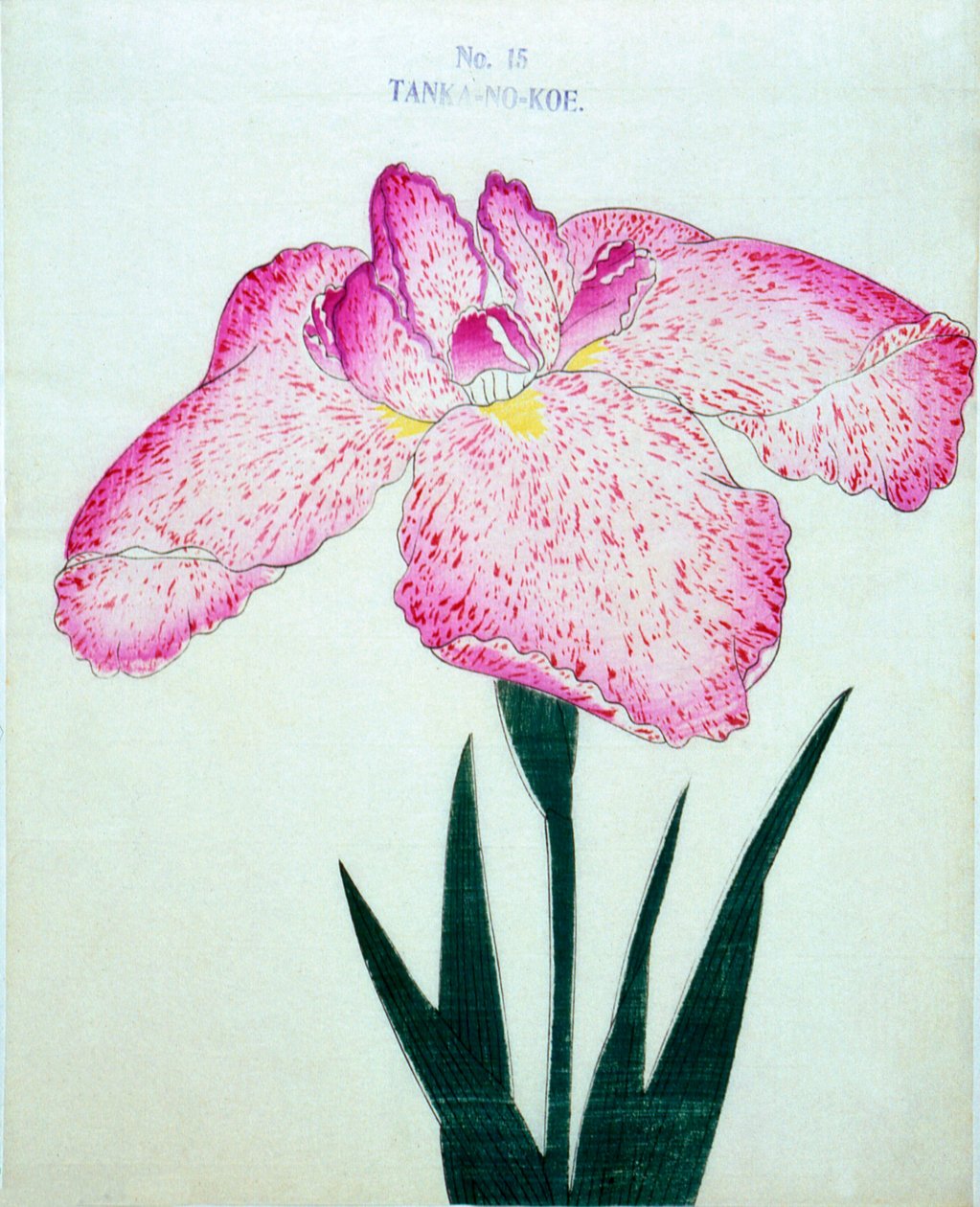 Egy tankhajóról. -Túl. 1898. 15 alkotó: Japanese School