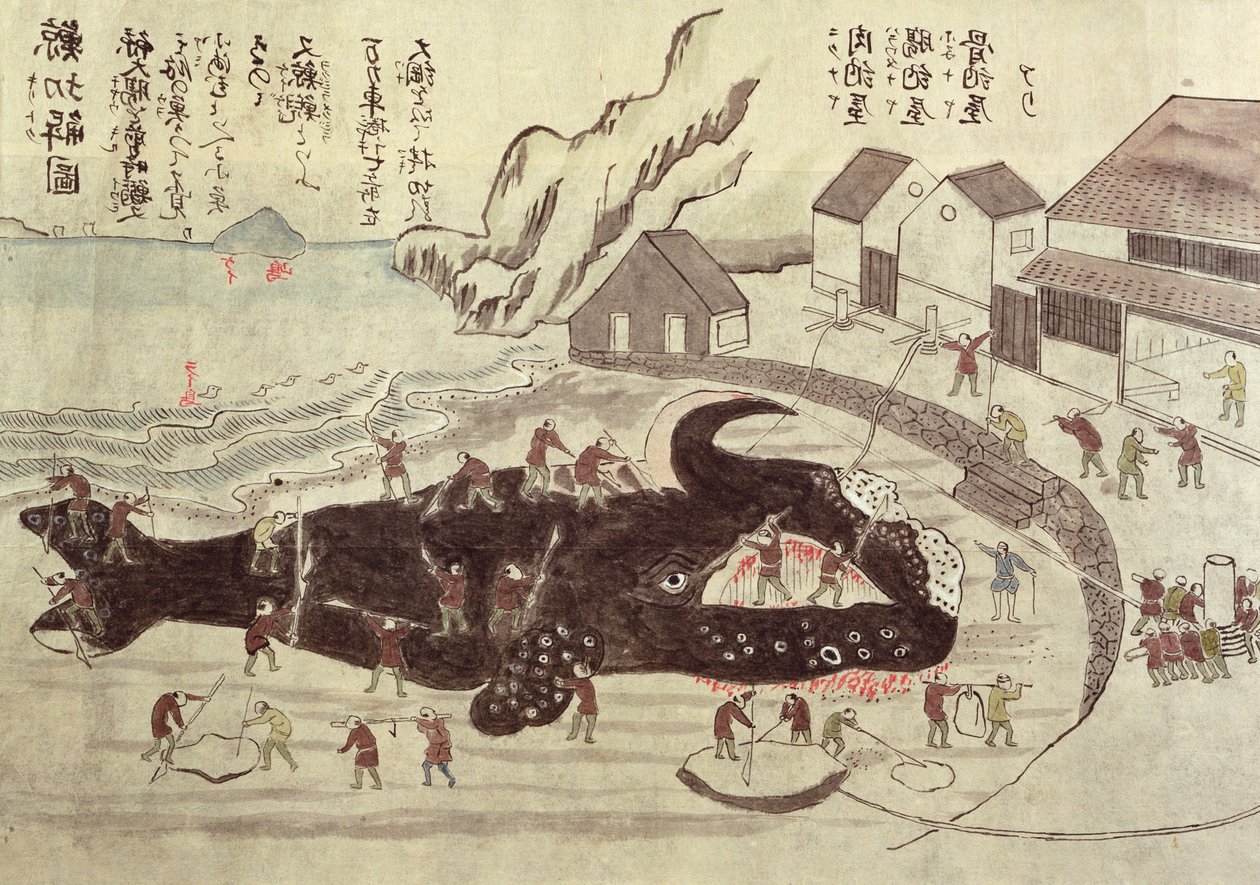 Egy bálna illesztése, 19. század vége (színes metszet) alkotó: Japanese School