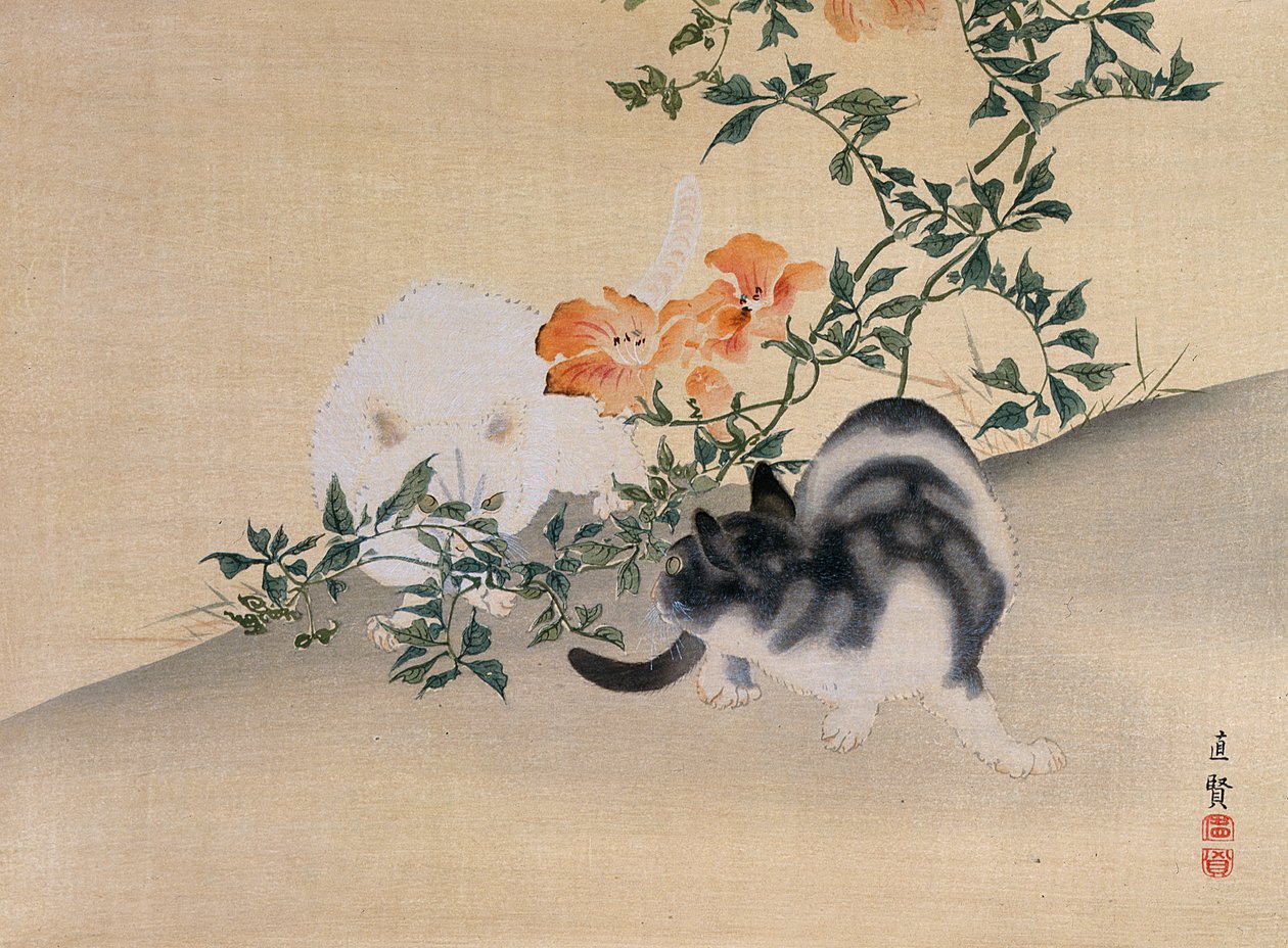 Két macska, illusztráció a Kokka magazinból, 1898-99 alkotó: Japanese School