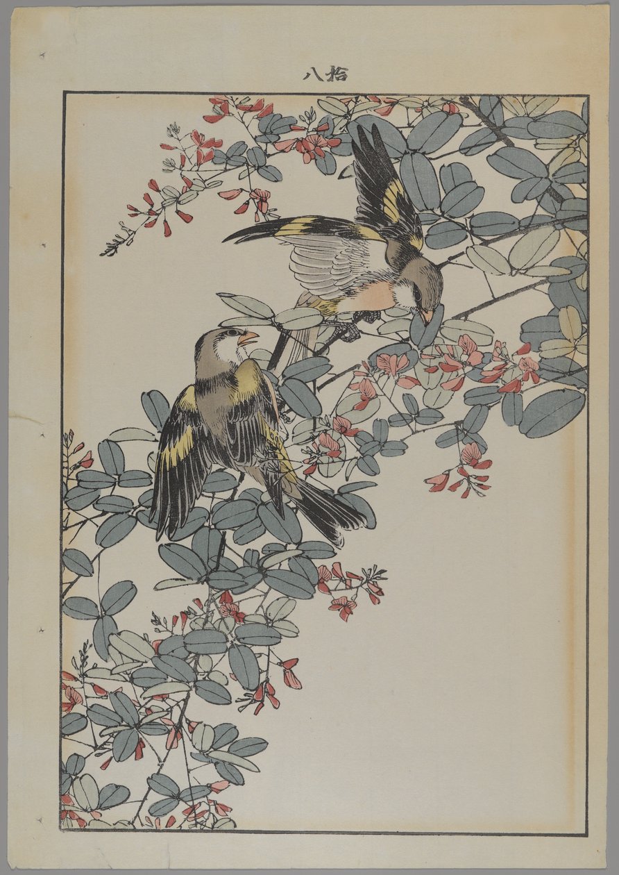 Két madár rózsaszín virágokkal, Meiji-korszak, 1868-1912 körül (színes fanyomat) alkotó: Japanese School