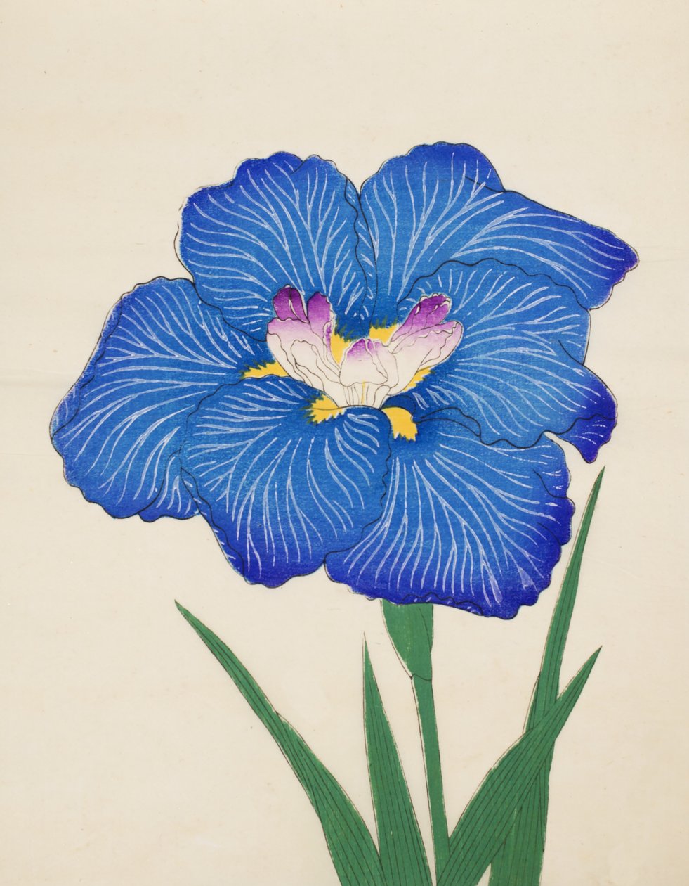 Tehén Ono. -Füst. 47, 1898 alkotó: Japanese School