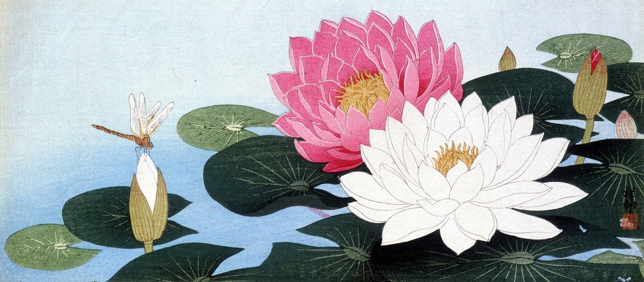 Tavirózsa és szitakötő - japán nyomtatás alkotó: Japanese School