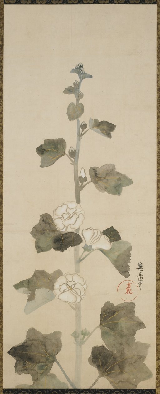 Fehér hollyhocks, Edo-korszak, 1615-1868 (tinta, árnyalat és arany papíron) alkotó: Japanese School