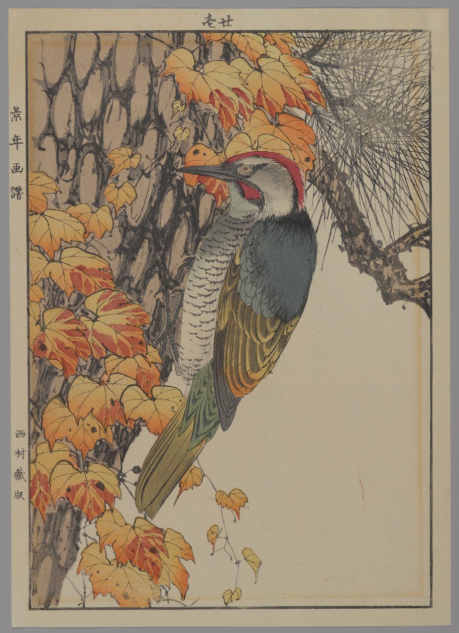 Harkály, 1892 (színes fanyomat) alkotó: Japanese School