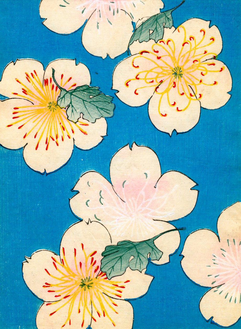 színes fatömb nyomat Dogwood Blossoms alkotó: Japanese School