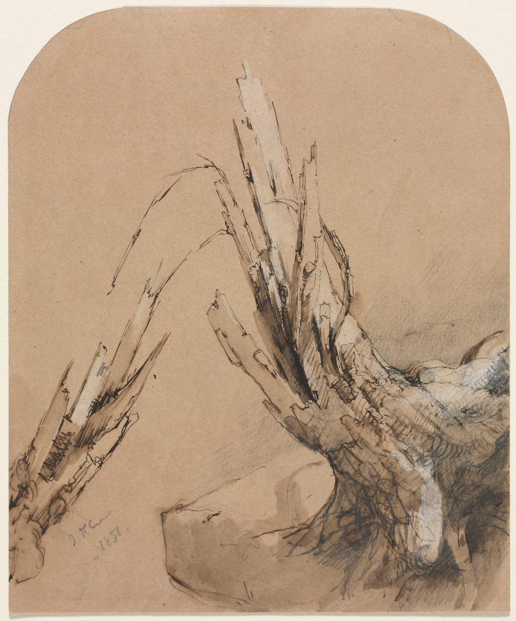 Felrobbantott fa (rekto) alkotó: Jasper F. Cropsey